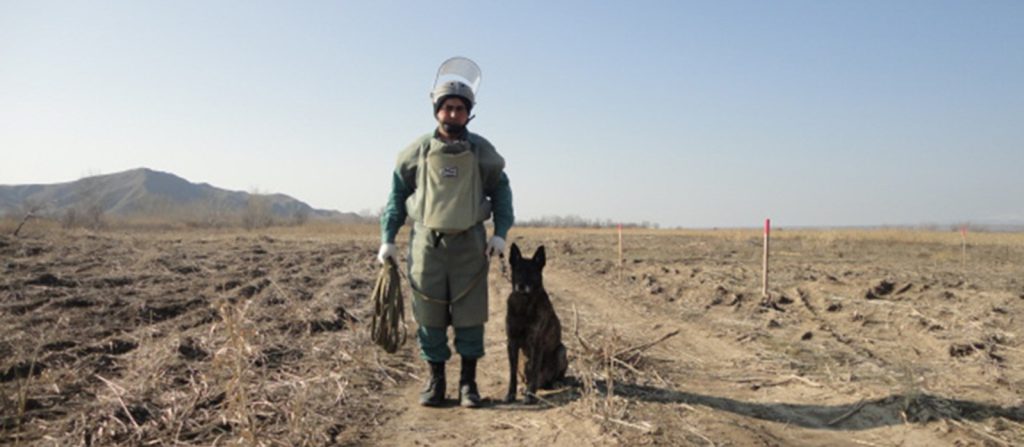 Mine Detection Dog Partnership Program